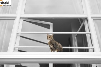 Tania siatka beżowa dla kota na balkon